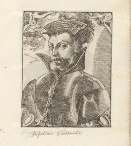 Portret van Ippolito de Medici autorstwa Anonymous