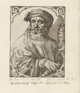 Portret Muleamethesa Scyriffica autorstwa Anonymous