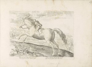 Renpaard spotkał Ruitera Koń mauretański (tytuł na obiekcie) Paardenrassen uit de Koninklijke stallen van Don Juan van Oostenrijk (tytuł serii) Koń, w którym wszelka szlachta: wybrane zachowania koni wyróżnionych z różnych stron świata (...) (tytuł serii autorstwa Anonymous
