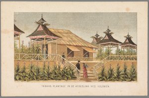 Plantacja tytoniu w koloniach holenderskich na Wystawie Światowej w Amsterdamie, 1883 Plantacja tytoniu w dziale Ned: Kolonie (tytuł na obiekcie) Pamięć Amsterdamu w 1883 roku (tytuł serii na obiekcie) autorstwa Anonymous