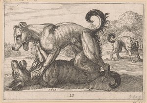 Dwa psy godowe i dwa psy bojowe Fighting Animals (kopie) (tytuł serii) autorstwa Anonymous