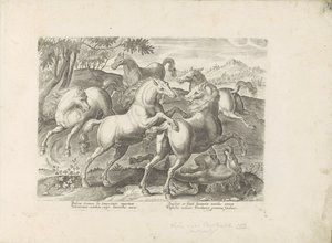 Vechtende paarden met een onder de voet gelopen paard Koń, w którym wszystkie rodzaje szlachty: wybrane zachowania koni wyróżnionych z różnych stron świata (...) (tytuł serii na obiekcie) autorstwa Anonymous