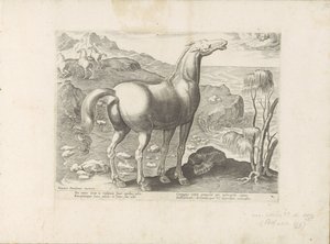 Zephyrus bevrucht een merrie Paardenrassen uit de Koninklijke stallen van Don Juan van Oostenrijk (tytuł serii) Koń, w którym wszystkie rodzaje szlachty: wybrane zachowania koni wyróżnionych z różnych stron świata (...) (tytuł serii na obiekcie) autorstwa Anonymous