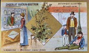 Absynt: lekarstwo i zabójczy likier. Grawerowanie (chromo). Chromolitografia reklamowa czekoladek Guerin-Boutron, koniec XIX wieku. Illustree seria botaniczna. autorstwa Anonymous Anonymous