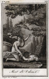 Śmierć Adonisa. Rycina z 1819 r. w „Lettres a Emilie sur la mitologie” Charlesa Alberta Demoustiera (1760-1801). Prywatna kolekcja. autorstwa Anonymous Anonymous