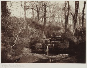 Edge Park, Cheshire, ok. 1865 r. (odbitka albuminowa ze szklanego negatywu) autorstwa Anonymous Anonymous