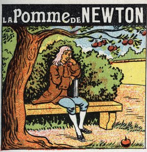 Grawitacja: jabłko Newtona. Isaac Newton (1642-1727) obserwuje spadające z jabłoni jabłko i odkrywa prawa ziemskiej grawitacji (grawitacji). Anonimowa ilustracja z 1925 r. Ze zbiorów prywatnych. autorstwa Anonymous Anonymous