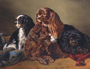 King Charles Spaniele autorstwa Anonymous Anonymous