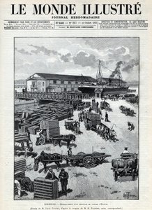 Handel morski: szczekanie przybycia przepiórek z Egiptu do portu w Marsylii. Gazeta. Grawer „Le monde illustree” z 1892 r. Ze zbiorów prywatnych. autorstwa Anonymous Anonymous