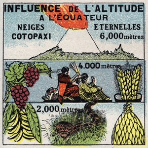 Meteorologia: wpływ wysokości na klimat. Anonimowa ilustracja z 1925 r. Ze zbiorów prywatnych. autorstwa Anonymous Anonymous