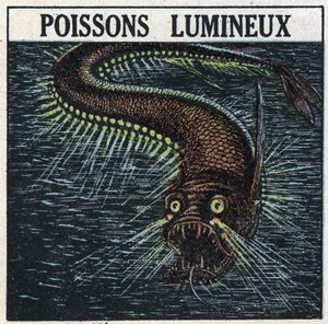 Fosforescencja: świecąca ryba. Anonimowa ilustracja z 1925 r. Ze zbiorów prywatnych. autorstwa Anonymous Anonymous