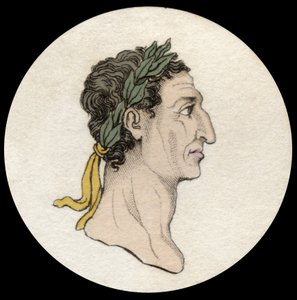 Portret cesarza Nerwy (Marcus Cocceius Nerva) (26-98 ne). Rycina XIX wieku. Milanese autorstwa Anonymous Anonymous