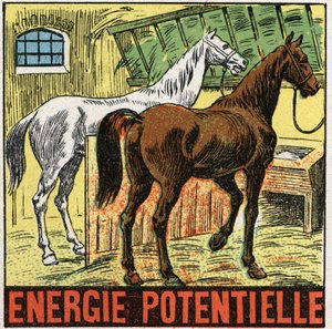 Energia potencjalna: konie odpoczywające w stajni. Anonimowa ilustracja z 1925 r. Ze zbiorów prywatnych. autorstwa Anonymous Anonymous