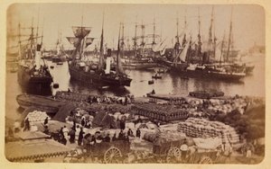 Miasto Marsylia i okolice ok. 1885 -1890: Bassin de la Joliette, pokład cargo na kotach, kolekcja prywatna autorstwa Anonymous Anonymous