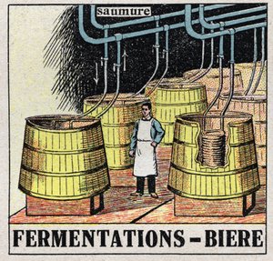 Przemysł zimny: fermentacje górne do produkcji piwa. Anonimowa ilustracja z 1925 r. Ze zbiorów prywatnych. autorstwa Anonymous Anonymous