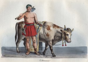 Ofiary - ofiararius (handlarz zwierząt przeznaczonych na ofiarę) (Ten, który pochwycił ofiarę i uderzył ofiary) grawer z „”Użycia i zwyczaje wszystkich narodów wszechświata. To jest historia rządu, praw, milicji, d autorstwa Anonymous Anonymous