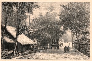 Widok ulicy z Kolombo na Cejlonie (Sri Lanka). Grawer w „Misjach katolickich w XIX wieku” Louis-Eugene (Louis Eugene) Louvet. prywatna kolekcja. autorstwa Anonymous Anonymous