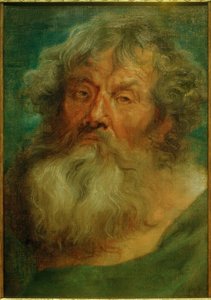 Głowa starego człowieka autorstwa Anthony van Dyck