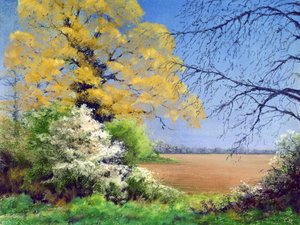 Zima Blackthorn, 2003