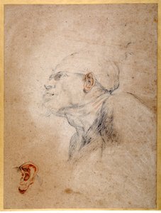 Zabandażowana głowa mężczyzny, lewe ucho ćwiczone osobno (czarne i czerwone kredy na papierze) autorstwa Anthony van Dyck