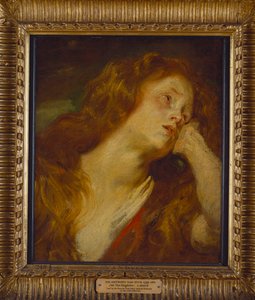 Młoda kobieta, długość biustu, opiera głowę na dłoni autorstwa Anthony van Dyck