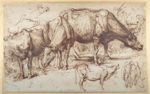 Bydło na pastwisku, ok.1618-20 (pióro i atrament z praniem na papierze) autorstwa Anthony van Dyck