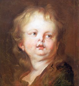 Głowa chłopca autorstwa Anthony van Dyck