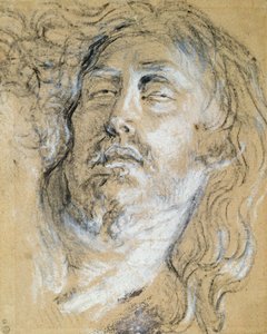 Głowa zmarłego Chrystusa (węgiel i kreda na papierze) autorstwa Anthony van Dyck