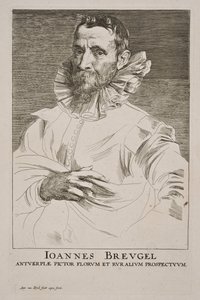 Portret autorstwa Jana Brueghela Starszego autorstwa Anthony van Dyck