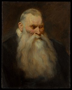 Studium głowy starego mężczyzny z białą brodą autorstwa Anthony van Dyck