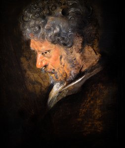 Studium głowy starca: lewy profil (detal) autorstwa Anthony van Dyck