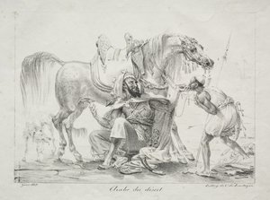 Arab pustyni
