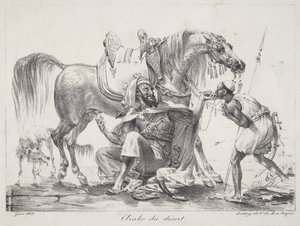 Arab pustynny (Arab pustynny)