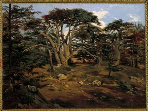 Stare cedry na górze Liban w Boumana Obraz Antoine Alphonse Montfort (1802-1884) XIX w. Słońce. 0,32x0,44 m Paryż, Muzeum Orsay autorstwa Antoine Alphonse Montfort