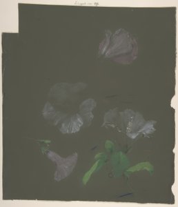 Kwiatowy wzór autorstwa Antoine Berjon
