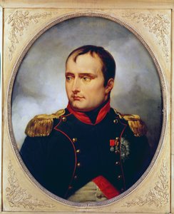 Portret Napoleona I (1769-1821), 1815