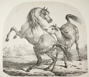 Walka dzikich koni, ok. 1820 r. autorstwa Antoine Charles Horace Vernet