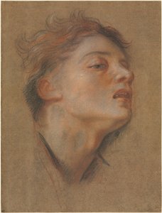 Głowa młodego mężczyzny autorstwa Antoine Coypel