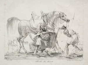 Arab pustyni autorstwa Antoine Jean Gros
