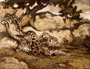 Pyton zabija tygrysa (wc i gwasz na papierze) autorstwa Antoine Louis Barye