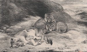 Lwica i młode, prawdopodobnie 1832. autorstwa Antoine Louis Barye