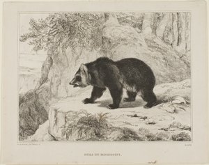 Miś Missisipi autorstwa Antoine Louis Barye