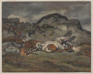 Rolling Tiger, ok. 1840 (wc na papierze) autorstwa Antoine Louis Barye
