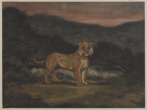 Stojąca lwica (wc na papierze) autorstwa Antoine Louis Barye