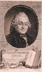 Portret Johanna Friedricha Meckela (1724-76) sztychowany przez Johna Schleuena (fl.1740-74) (grafika) autorstwa Anton (after) Graff
