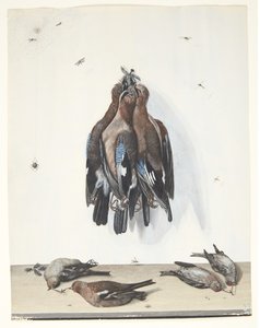 Martwa natura z ptakami autorstwa Anton Ignaz Hamilton