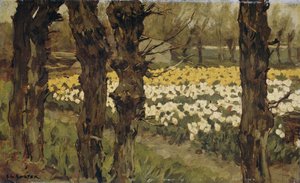 Pola tulipanów autorstwa Anton L. Koster