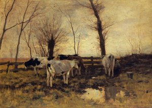 Krowy na pastwisku autorstwa Anton Mauve