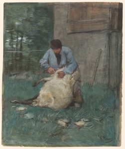 strzyż owiec autorstwa Anton Mauve