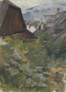 studium wioski